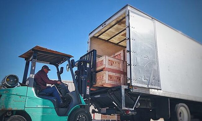 Professional Loading and Unloading Service in Trichy